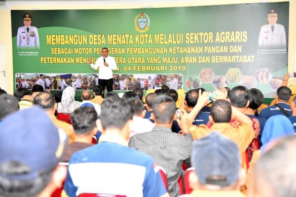 Tingkatkan Konsumsi Daging Sapi Masyarakat, Produksi Ternak Sapi Sumut Perlu Digenjot